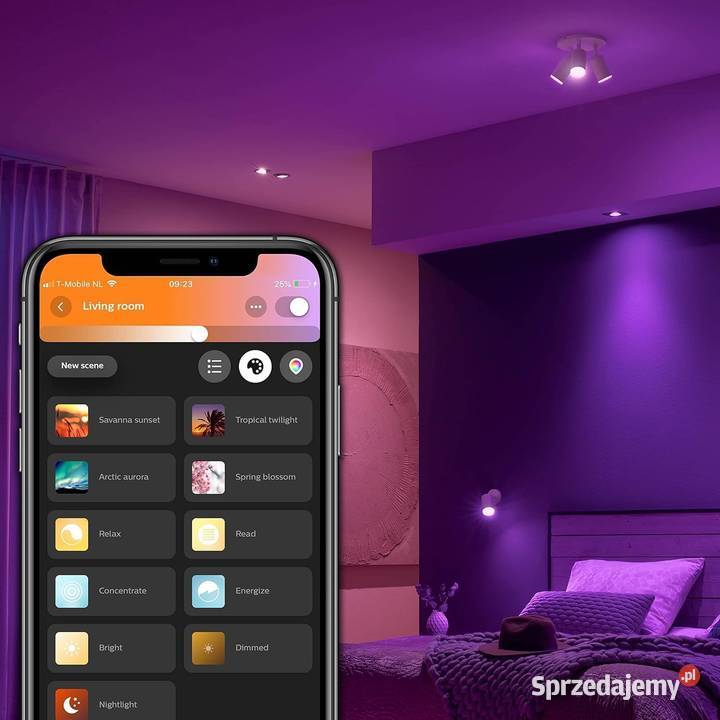 Oczka okrągły Philips Hue biały podkarpackie Rzeszów