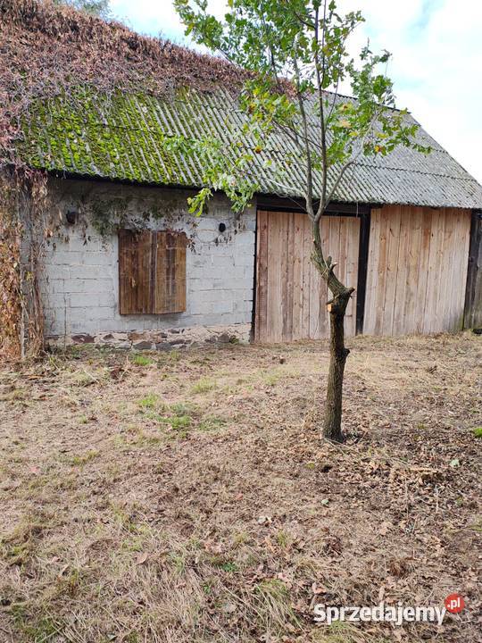 Gospodarstwo rolne z lasem Pakuły