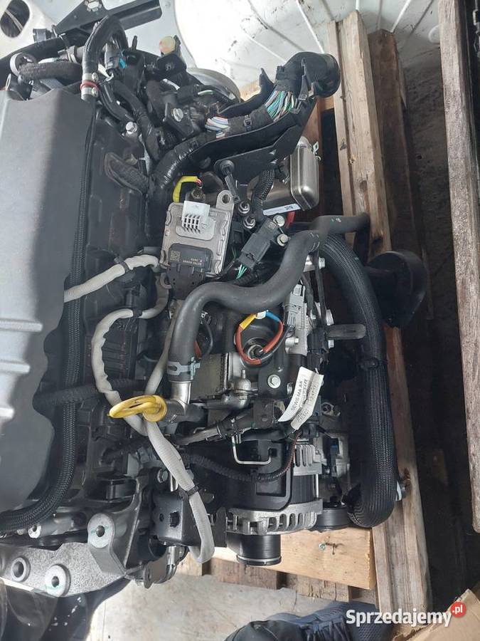 Renault trafic 20 DCI M9RZ717 silnik nowy Koszalin sprzedam