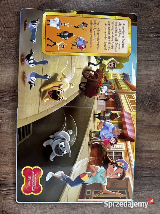 Bingo i Rolly w akcji książka z zagadkami Bingo Wyszków