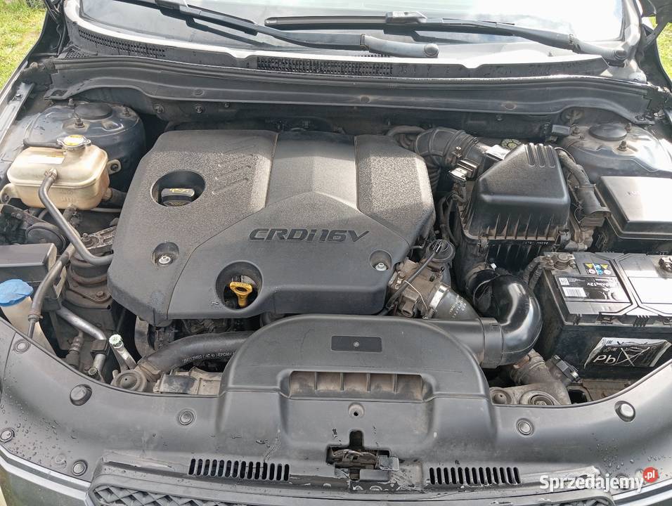 Kia ceed 16 CRDI stan 1600cm3 kujawsko-pomorskie Włocławek