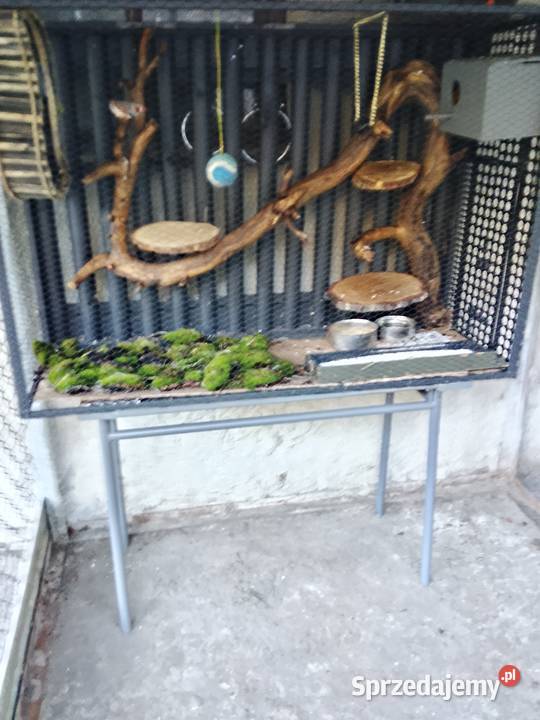 Klatka zewnetrzna woliera papugi zeberki Ptaki Mokrzyska sprzedam
