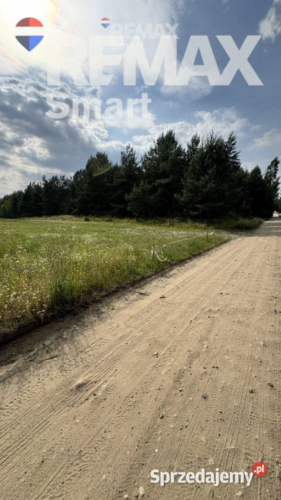 działka budowlana w otoczeniu lasu Gójszcz