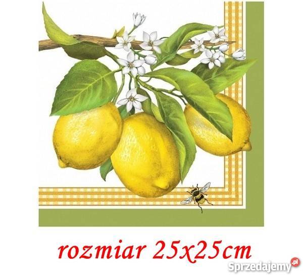 Nowe Serwetki papierowe 33cmx33 PPD nuty wielokolorowy mazowieckie Warszawa sprzedam