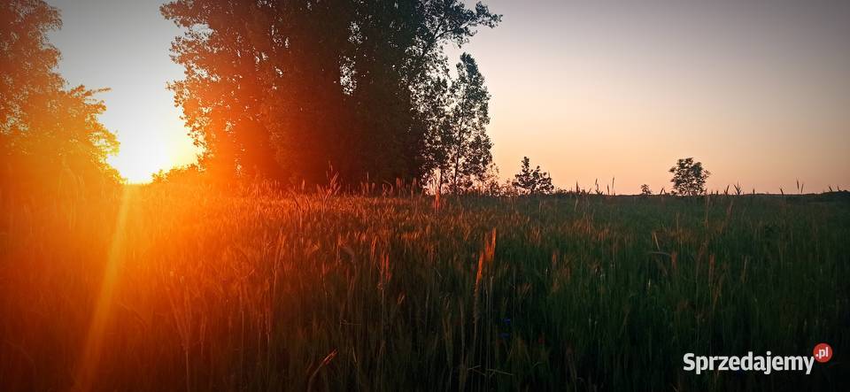 Działka rolnobudowlana WZ 7700m2 Skotniki Małe