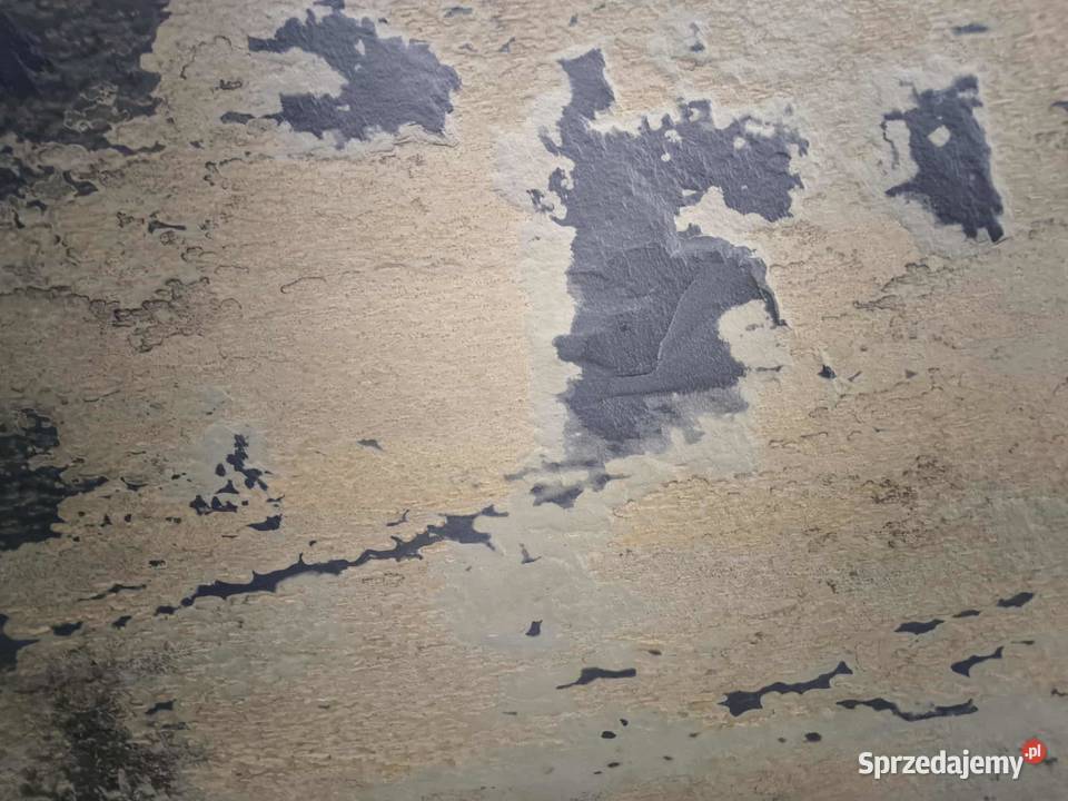 Płytki Łupek Indian Autumn Naturalny 60x40x12 pomorskie Rumia