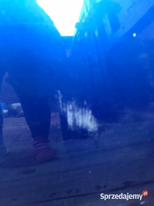 VW SCIROCCO DRZWI PRAWE PRAWY PRZÓD PRZEDNIE Kozy sprzedam