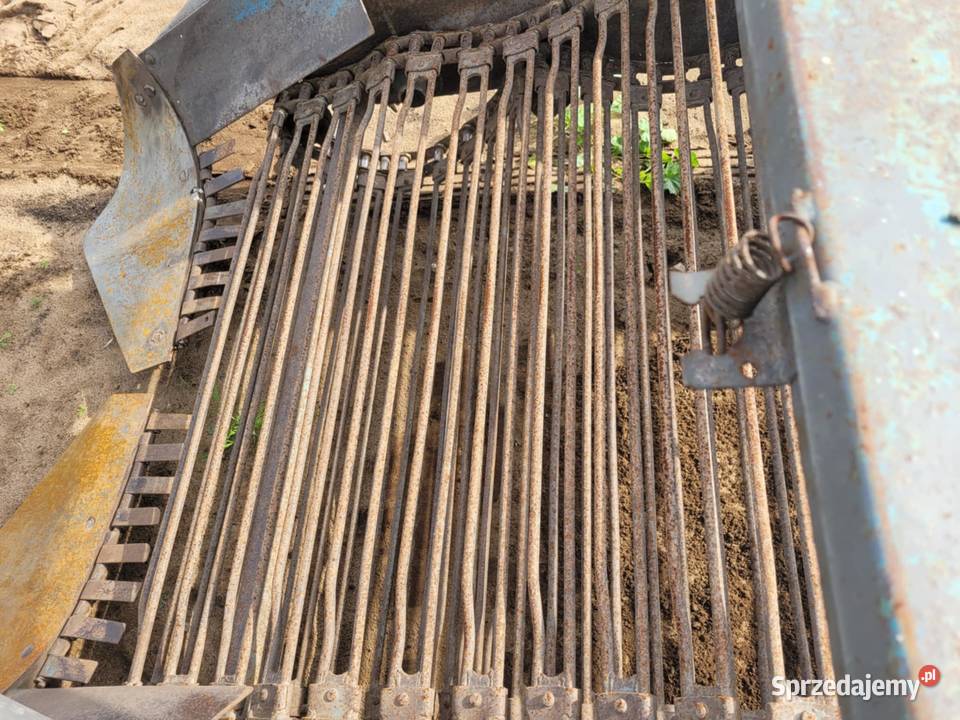 Kopaczka do ziemniaków Grajewo sprzedam