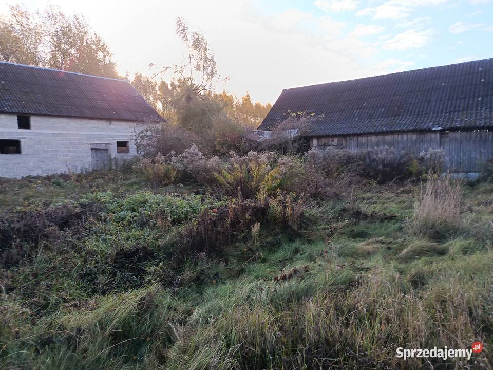 Rębak do gałęzi wycinka drzew mulczer leśny
