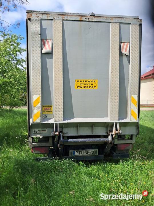 Syndyk sprzeda samochód ciężarowy MAN TGA do wielkopolskie