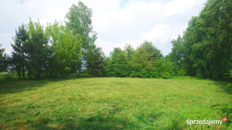 Działka 4828m2 Wkrą pozw na budowę ogrodzenie Sprzedaż mazowieckie Popielżyn-Zawady sprzedam