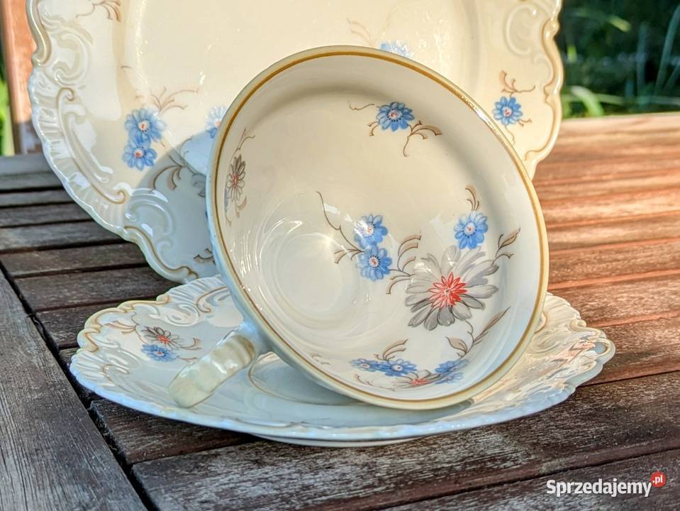 Niecodzienne Trio Carstens Sorau Żary Legnica