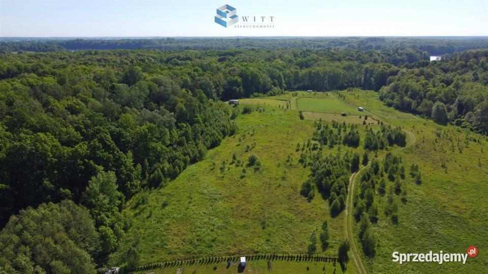 Grunt Dziśnity 2942m2 sprzedam