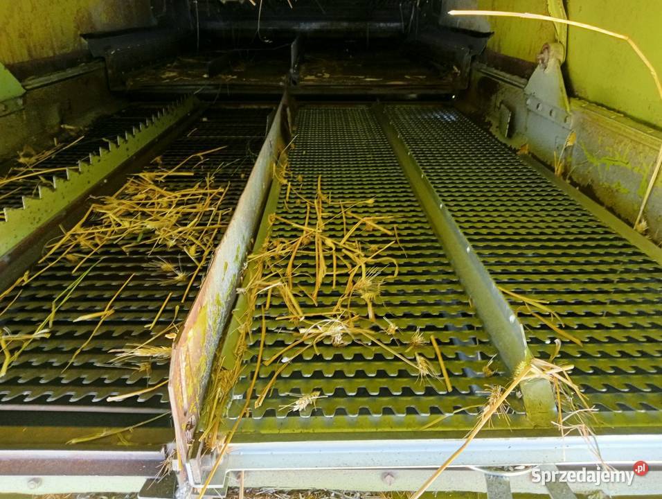 Claas Dominator 96 na Hydrostacie świętokrzyskie Probołowice