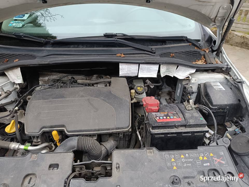 Clio IV Lift 2018 12 Polski salon Lekko 95000km Clio Rogoźnik