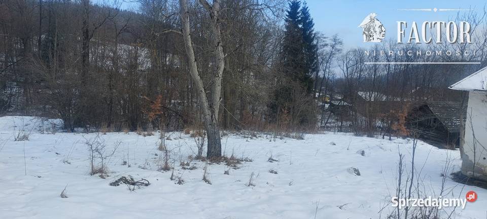 Siary działka budowlanoleśna 20a 1167S2026 Sprzedaż