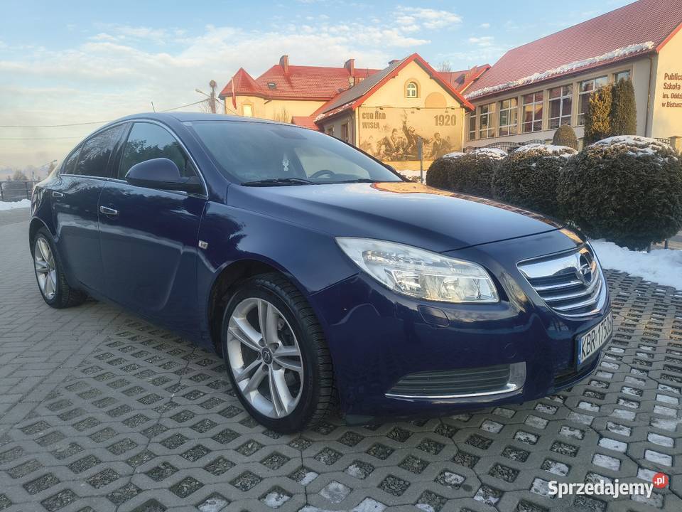Opel Insignia 20CDTI 2009 Super stan małopolskie Bistuszowa