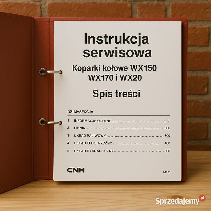 CASE koparka kołowa WX 150 WX170 i WX 200 Gdańsk sprzedam
