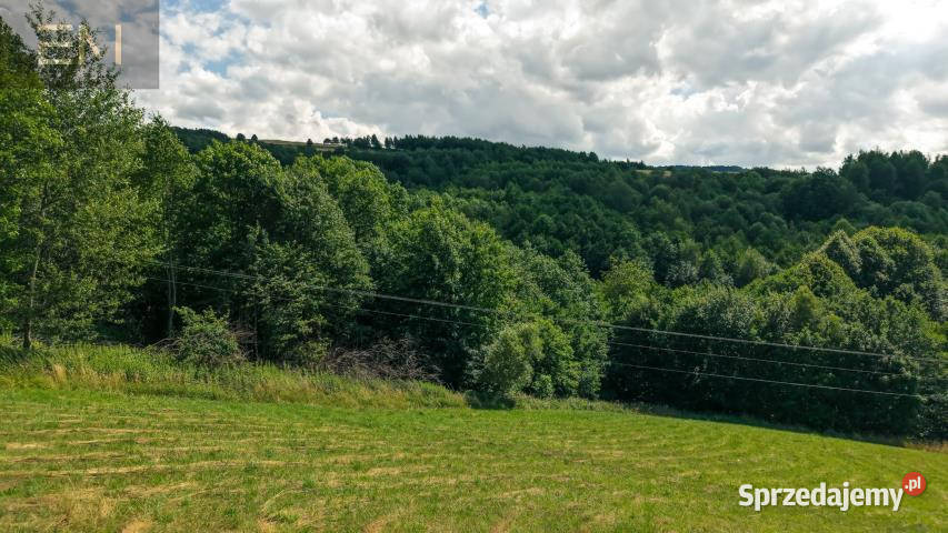 Działka Jaszczurowa 18900m2 sprzedam