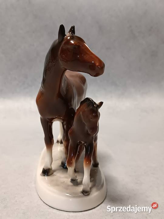 Hertwig Konie Kolekcjonerska Klacz i Źrebię Gdańsk sprzedam