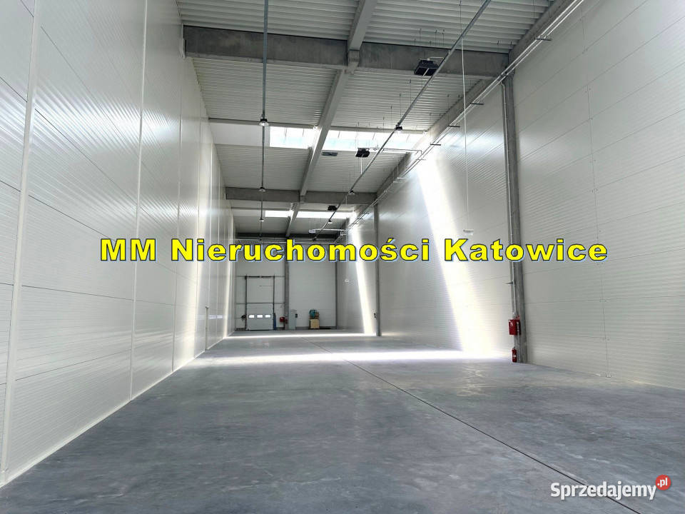 Magazyny do wynajęcia Siemianowice Śląskie doki 700m2 śląskie