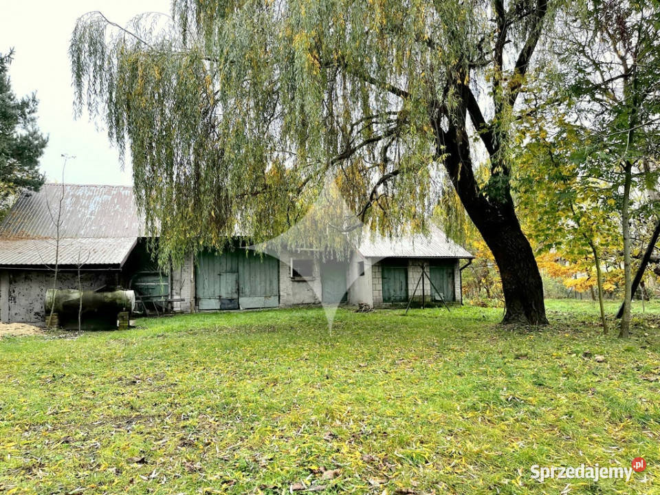 Duże siedlisko w centrum Tarnawatki wolnostojący Sprzedaż Tarnawatka sprzedam