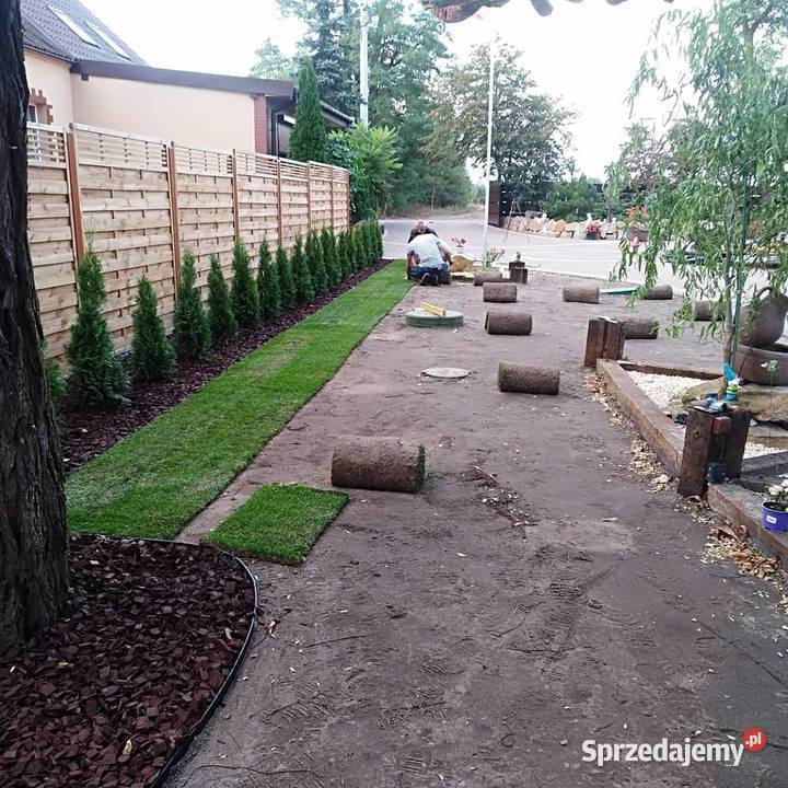 Zakładanie trawników Konin Koło Słupca Turek ogród