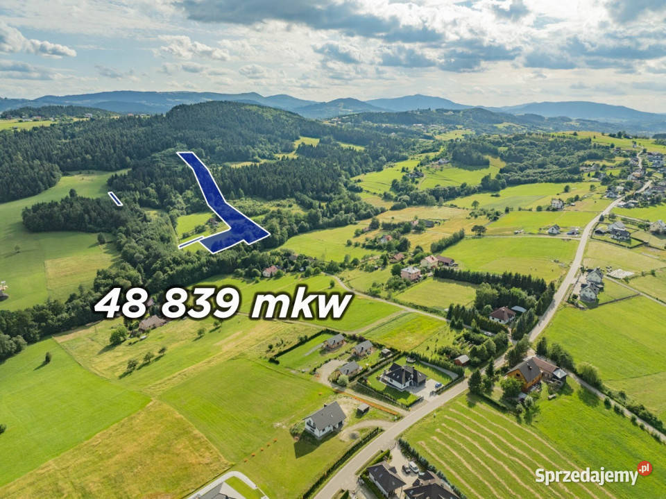 Siedlisko Pisarzowa prawie 5 ha