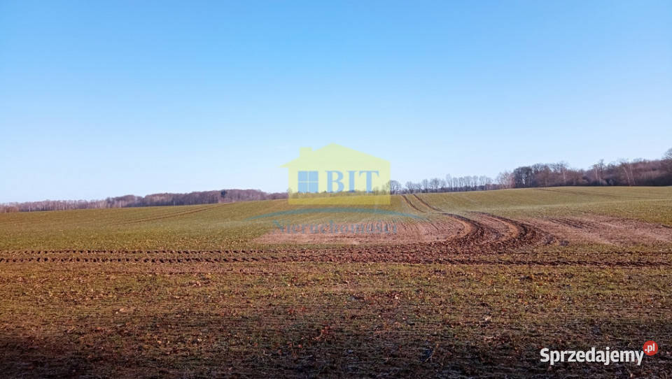 Działka 6066 m2 z dostępem do jeziora Kaleńsko Sprzedaż zachodniopomorskie Żelisławie