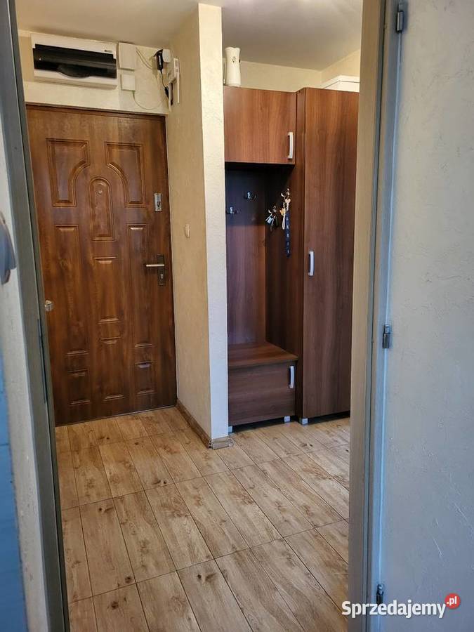 Mieszkanie 42m Szczucin internet