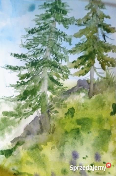 Akwarela A4 seria leśna Będzin sprzedam