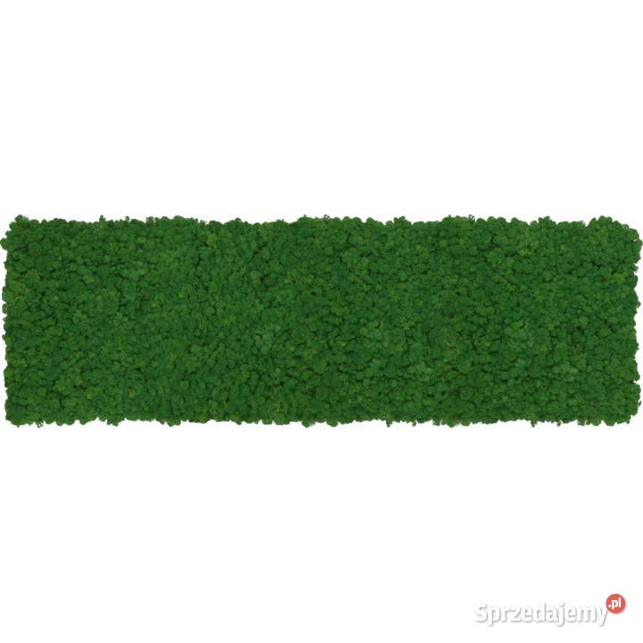 Panel z chrobotka PREMIUM Forest Green na wymiar Czarków