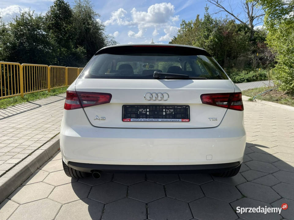 Audi A3 Audi A3 Opłacony Klimatronic 16 TDI 105 nieuszkodzony A3 Samochody osobowe Gostyń