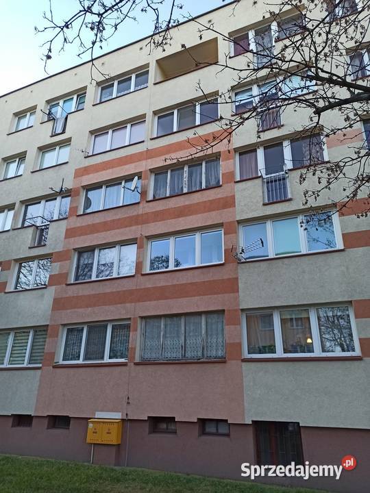 Wynajmę 1osobowy pokój w Oławie dolnośląskie Oława sprzedam