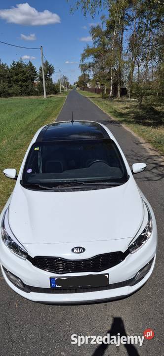 Kia proceed II 2015r 6 biegów wielkopolskie Witkowo