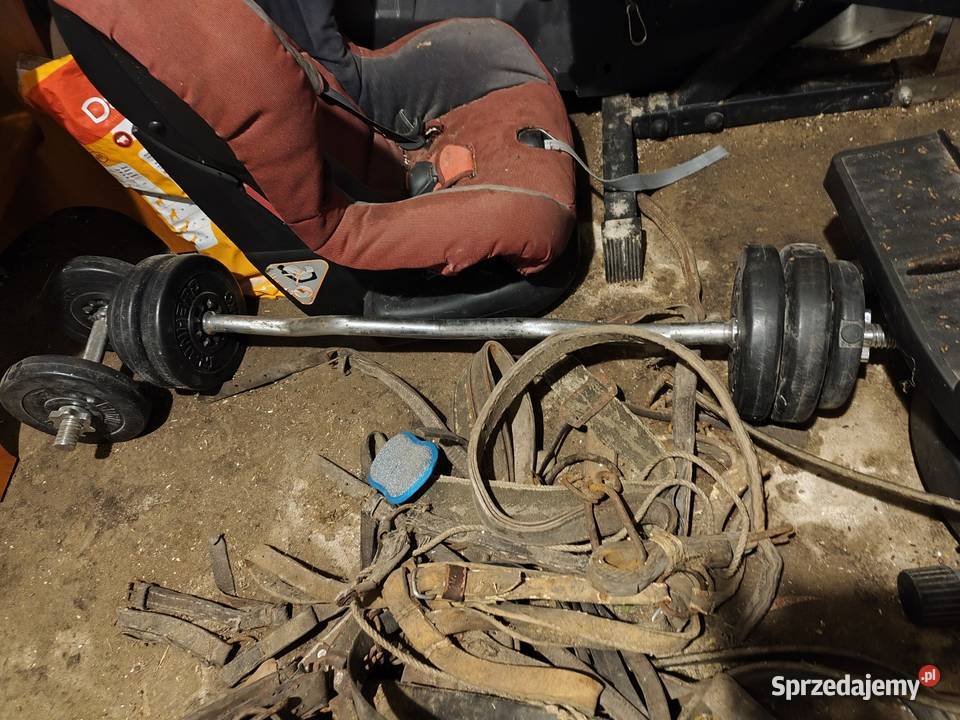 Wyposażenie siłowni Domaszków