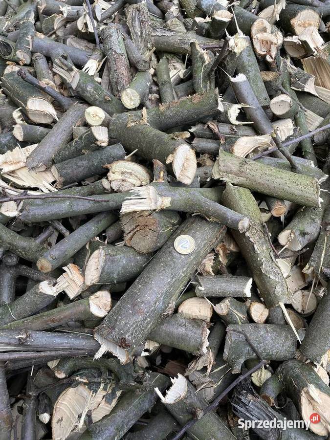 Zrębki opałowe jabłoniowe sprzedam Puławy