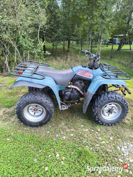 Quad Yamaha Big Bear 350 4x4 Pilzno