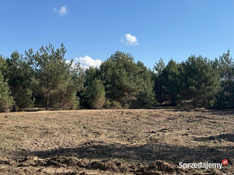 Działka w leśnej okolicy jezioro Zdworskie 720m2 Matyldów