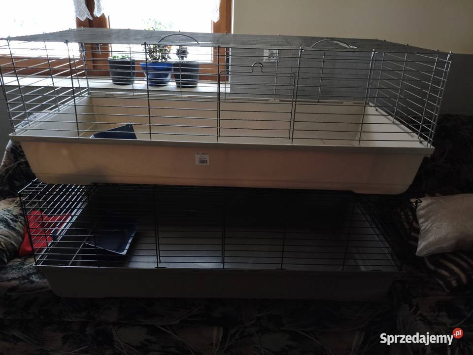 2x Klatka 120 królika świnki morskiej MPS Baldo świętokrzyskie Mirzec