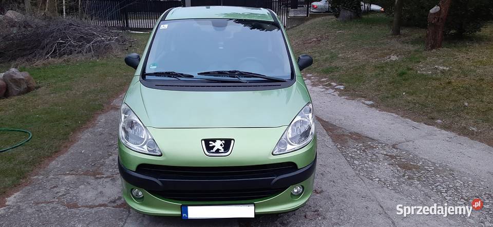 Peugeot 1007 14 8v 75 2005 Doinwestowany Sprawny Hatchback Nałęczów