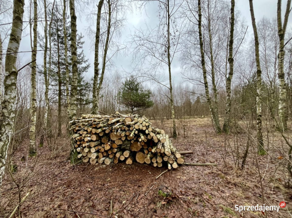 Duża działka rolnobudowlana 28823 ha Mariew Sprzedaż