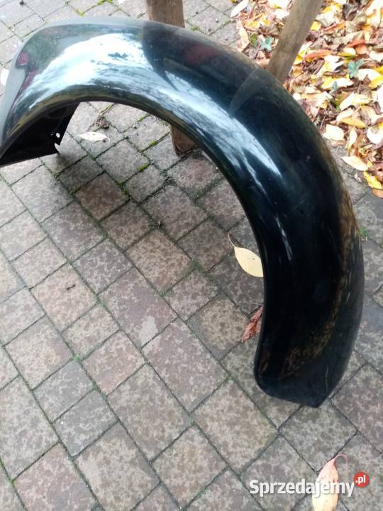 BŁOTNIK PRZÓD wielkopolskie Malanów sprzedam