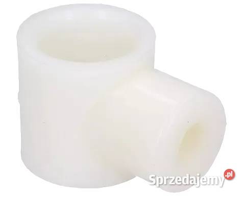 87691794 Tuleja palca ślimaka hedera Holland