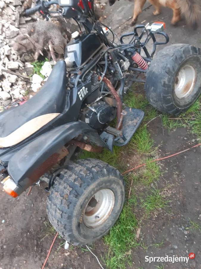 Kingway Alpinus napęd wał kardana 200 CC sprzedam