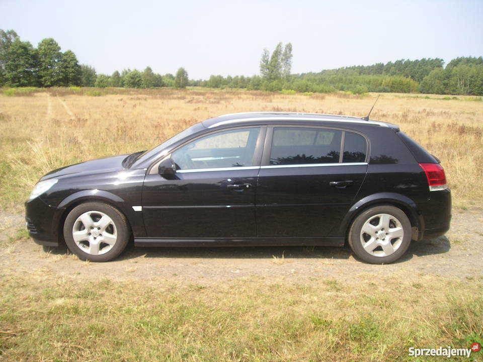 Opel signum 1