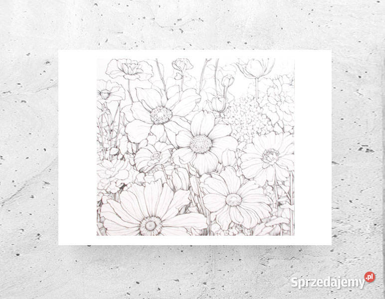 łąka plakat bało czarny Olsztyn