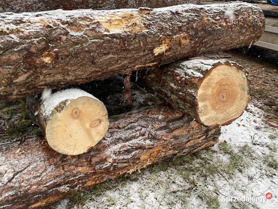 Drewno opałowe sosna opał cięte grube Białystok