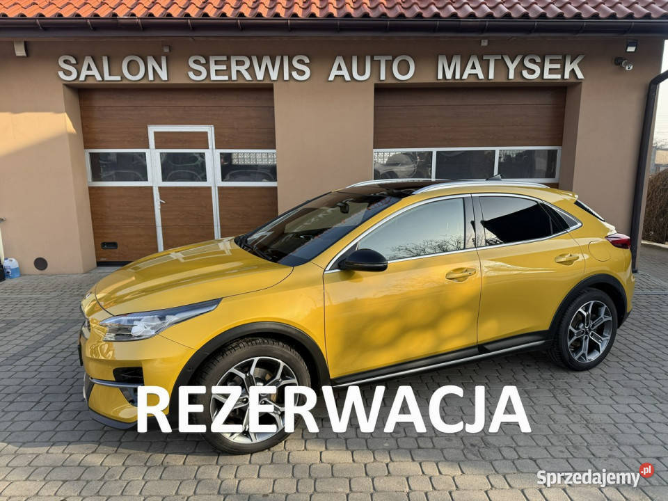 Kia XCeed Rezerwacja Orzech