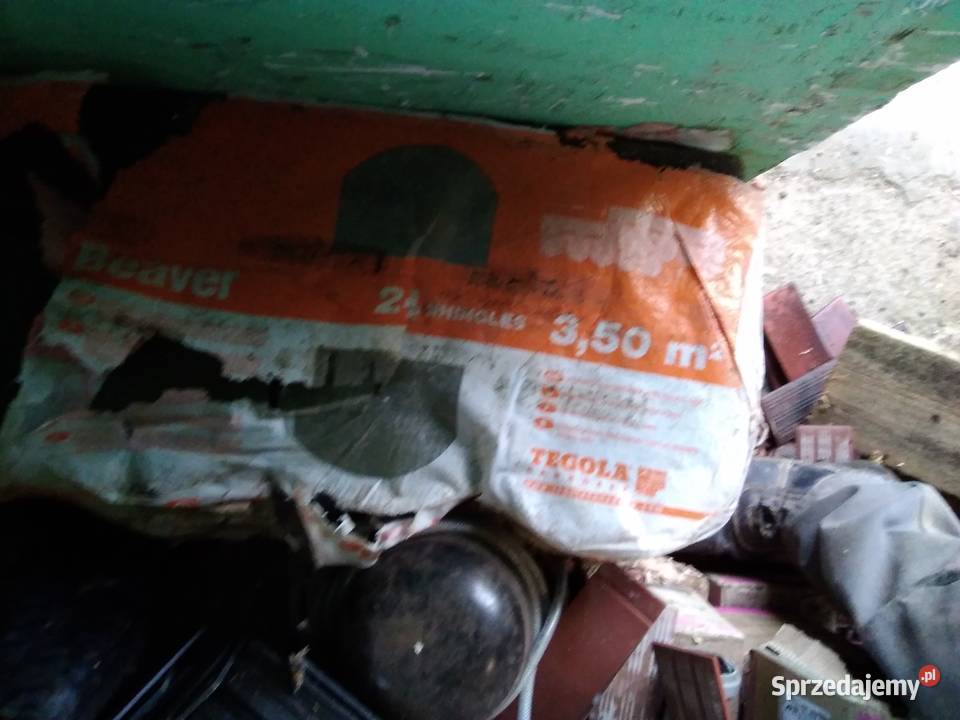 gonty papowe Głogów